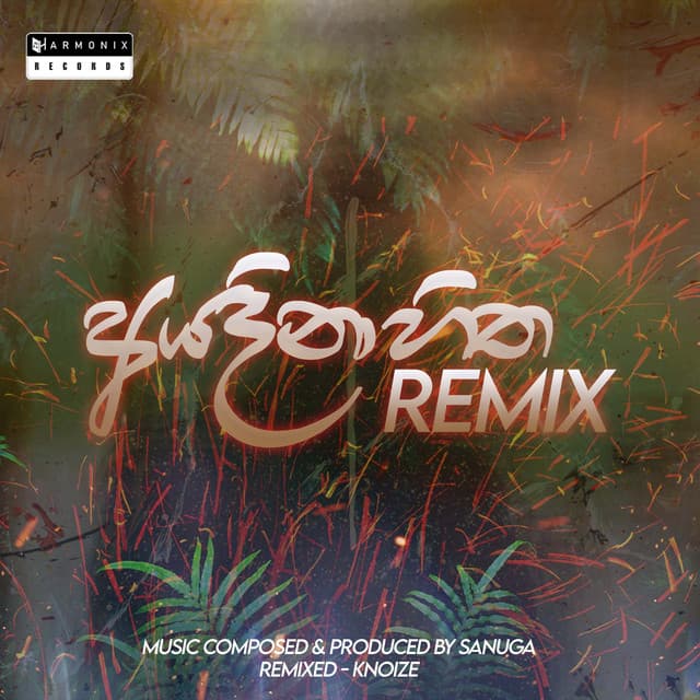 Ayadina Hitha (Remix)